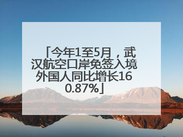 今年1至5月，武汉航空口岸免签入境外国人同比增长160.87%