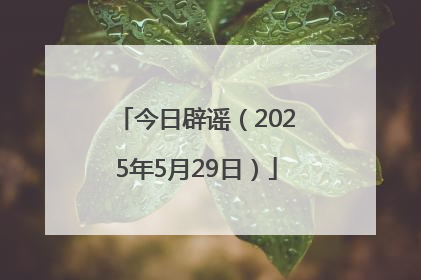今日辟谣（2025年5月29日）