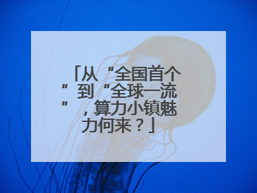 从“全国首个”到“全球一流”，算力小镇魅力何来？