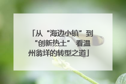 从“海边小镇”到“创新热土” 看温州翁垟的转型之道