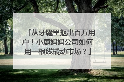 从牙缝里抠出百万用户！小鹿妈妈公司如何用一根线撬动市场？