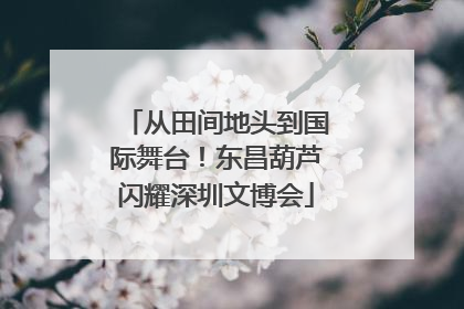 从田间地头到国际舞台！东昌葫芦闪耀深圳文博会