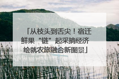 从枝头到舌尖！宿迁鲜果“链”起采摘经济绘就农旅融合新图景