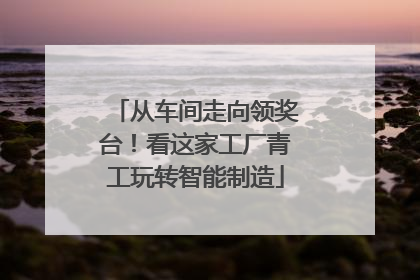 从车间走向领奖台！看这家工厂青工玩转智能制造