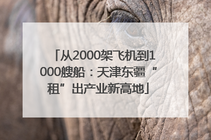 从2000架飞机到1000艘船：天津东疆“租”出产业新高地