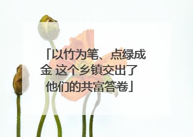 以竹为笔、点绿成金 这个乡镇交出了他们的共富答卷