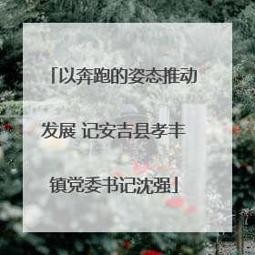 以奔跑的姿态推动发展 记安吉县孝丰镇党委书记沈强