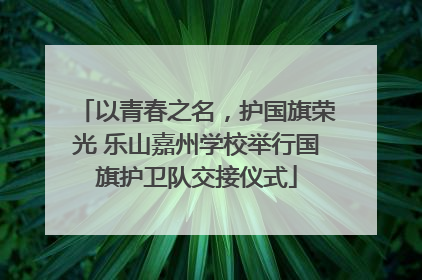 以青春之名，护国旗荣光 乐山嘉州学校举行国旗护卫队交接仪式