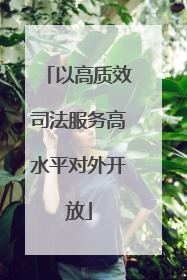 以高质效司法服务高水平对外开放