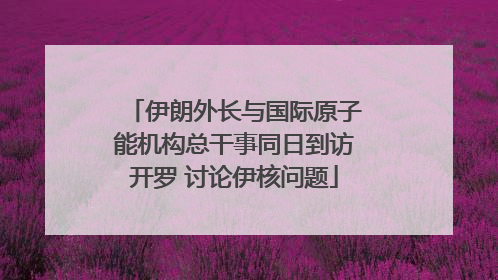 伊朗外长与国际原子能机构总干事同日到访开罗 讨论伊核问题