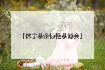 休宁茶企惊艳茶博会