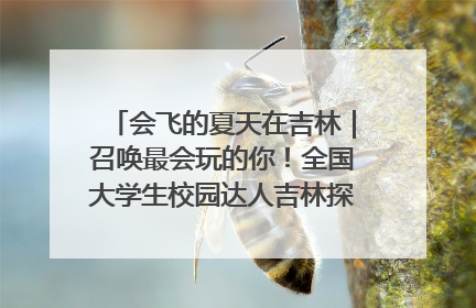 会飞的夏天在吉林｜召唤最会玩的你！全国大学生校园达人吉林探线活动招募中