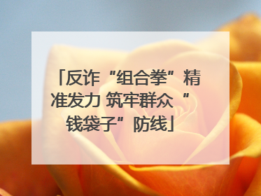 反诈“组合拳”精准发力 筑牢群众“钱袋子”防线