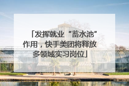 发挥就业“蓄水池”作用，快手美团将释放多领域实习岗位