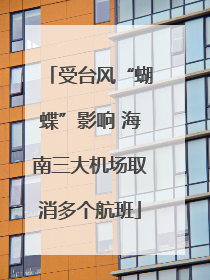 受台风“蝴蝶”影响 海南三大机场取消多个航班