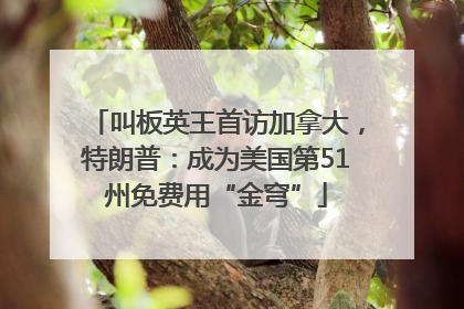 叫板英王首访加拿大，特朗普：成为美国第51州免费用“金穹”