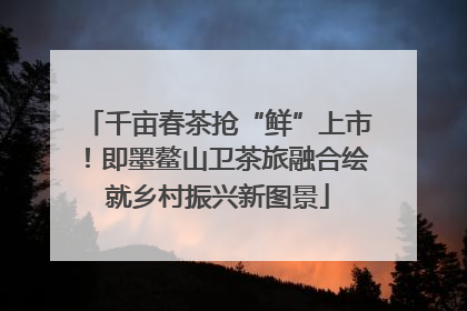 千亩春茶抢“鲜”上市！即墨鳌山卫茶旅融合绘就乡村振兴新图景