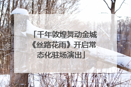 千年敦煌舞动金城《丝路花雨》开启常态化驻场演出