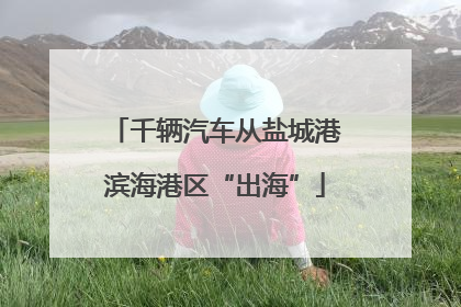千辆汽车从盐城港滨海港区“出海”