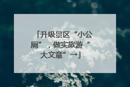 升级景区“小公厕”，做实旅游“大文章”→