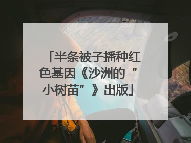 半条被子播种红色基因《沙洲的“小树苗”》出版