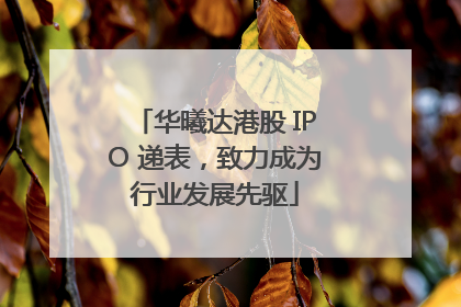 华曦达港股 IPO 递表，致力成为行业发展先驱