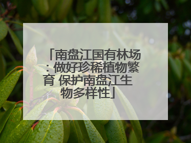 南盘江国有林场：做好珍稀植物繁育 保护南盘江生物多样性
