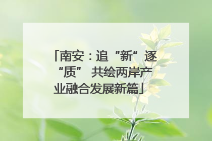 南安：追“新”逐“质” 共绘两岸产业融合发展新篇