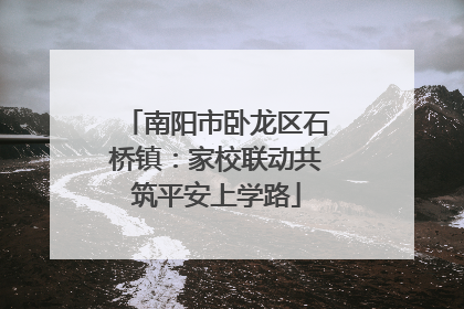 南阳市卧龙区石桥镇：家校联动共筑平安上学路