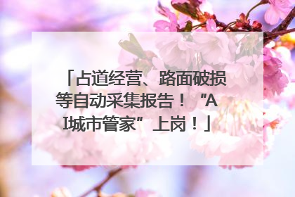 占道经营、路面破损等自动采集报告！“AI城市管家”上岗！