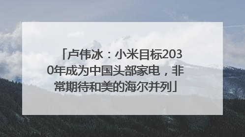 卢伟冰：小米目标2030年成为中国头部家电，非常期待和美的海尔并列