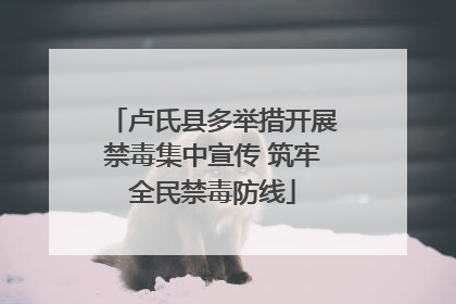 卢氏县多举措开展禁毒集中宣传 筑牢全民禁毒防线