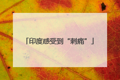 印度感受到“刺痛”