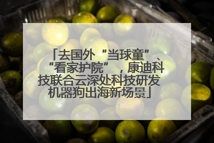 去国外“当球童”、“看家护院”，康迪科技联合云深处科技研发机器狗出海新场景