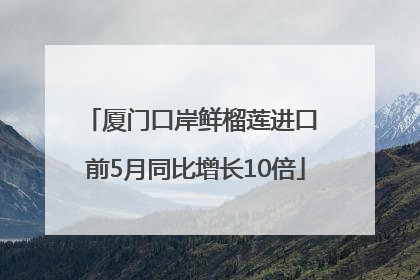 厦门口岸鲜榴莲进口 前5月同比增长10倍