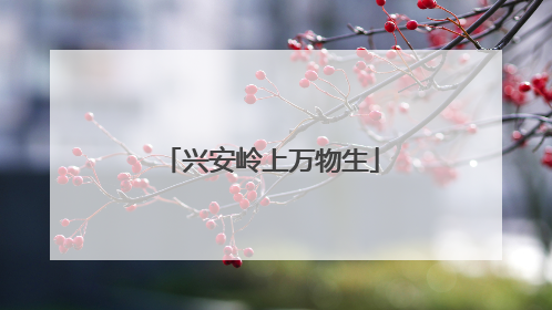 兴安岭上万物生