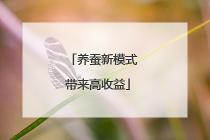 养蚕新模式带来高收益