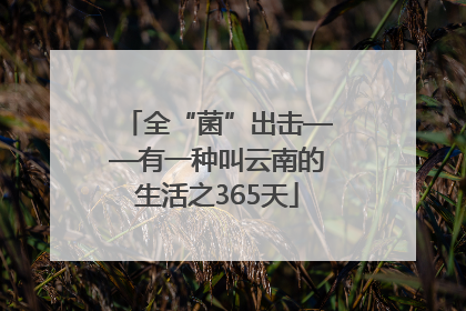 全“菌”出击——有一种叫云南的生活之365天