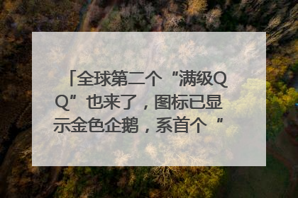 全球第二个“满级QQ”也来了，图标已显示金色企鹅，系首个“满级QQ”的小号