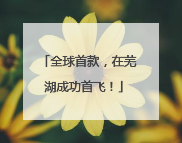 全球首款，在芜湖成功首飞！