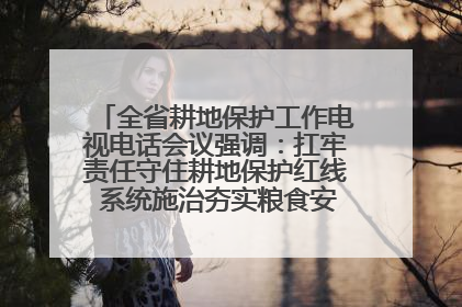 全省耕地保护工作电视电话会议强调：扛牢责任守住耕地保护红线 系统施治夯实粮食安全根基 王宁作出批示 王予波出席并讲话