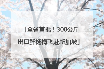全省首批！300公斤出口鲜杨梅飞赴新加坡