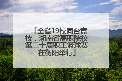 全省19校同台竞技，湖南省高职院校第二十届职工篮球赛在衡阳举行
