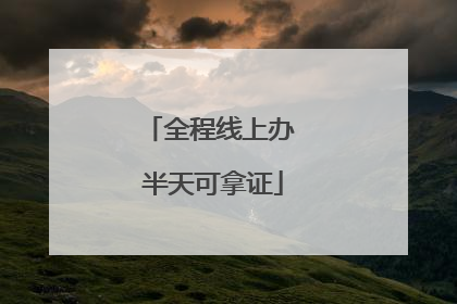 全程线上办 半天可拿证