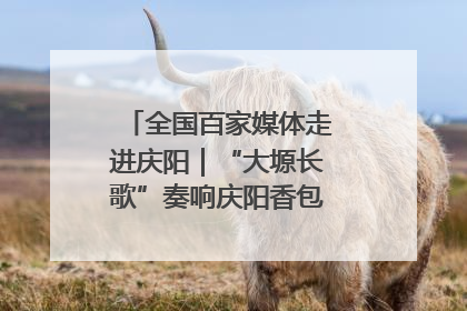 全国百家媒体走进庆阳｜“大塬长歌”奏响庆阳香包民俗文化节序曲