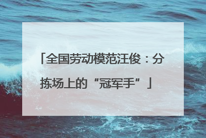 全国劳动模范汪俊：分拣场上的“冠军手”