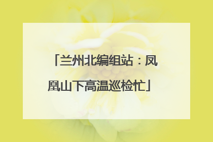 兰州北编组站：凤凰山下高温巡检忙
