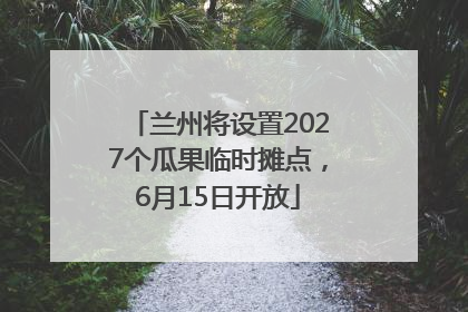 兰州将设置2027个瓜果临时摊点，6月15日开放