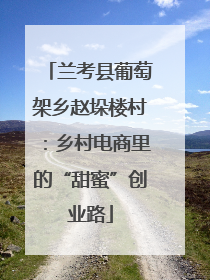 兰考县葡萄架乡赵垛楼村：乡村电商里的“甜蜜”创业路