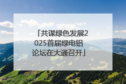 共谋绿色发展2025首届绿电铝论坛在大通召开
